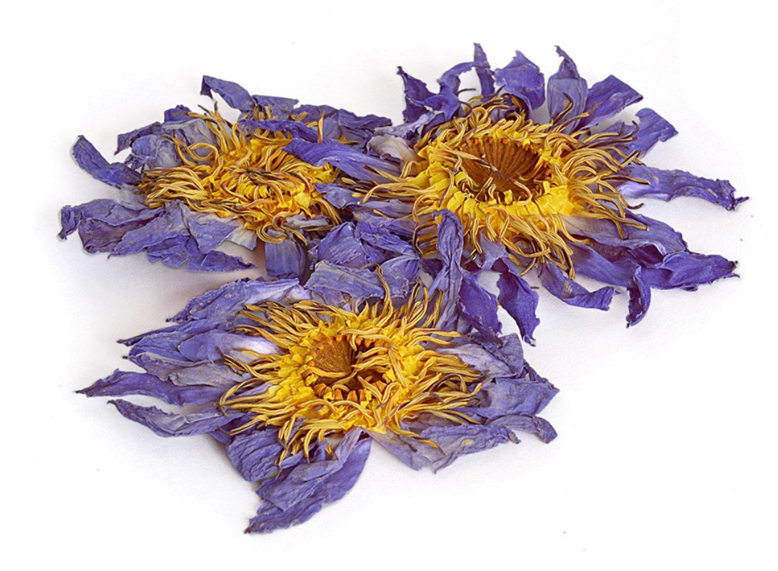 Dried Egyptian Blue Lotus Flowers (Nymphaea Caerulea)