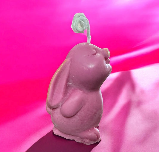 Eco soy wax candle with French Vanilla essence cute Bunny